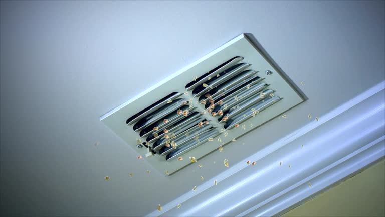 Air Duct Mold Removal in Santa Anna, TX
